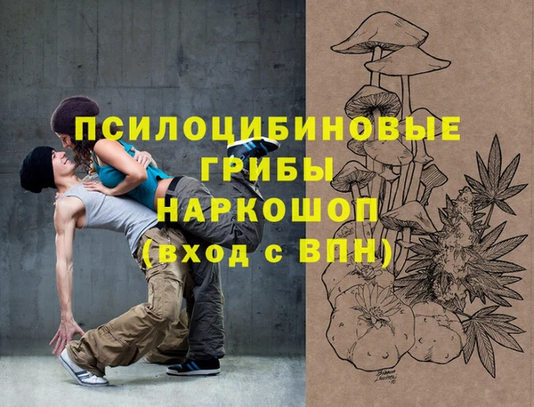 индика Алексеевка
