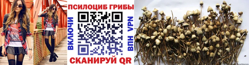 где купить наркоту  Иноземцево  Галлюциногенные грибы прущие грибы 